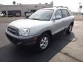 Pewter - Santa Fe GLS Photo No. 1