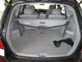 Magnetic Gray Metallic - Highlander 4WD Photo No. 6