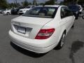 Arctic White - C 300 Luxury Photo No. 14