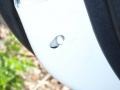 Diamond White Pearl - Outlander ES Photo No. 15