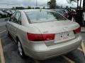 Camel Pearl - Sonata GLS Photo No. 6