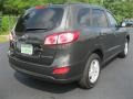 2010 Black Forest Green Metallic Hyundai Santa Fe GLS  photo #2