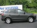 2010 Black Forest Green Metallic Hyundai Santa Fe GLS  photo #22