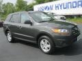 2010 Black Forest Green Metallic Hyundai Santa Fe GLS  photo #23