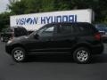 2009 Ebony Black Hyundai Santa Fe GLS  photo #12