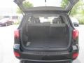 2009 Ebony Black Hyundai Santa Fe GLS  photo #17