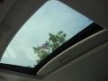 2007 Precision Gray Metallic Nissan Maxima 3.5 SE  photo #13