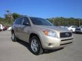 Savannah Metallic - RAV4 4WD Photo No. 1