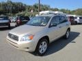 Savannah Metallic - RAV4 4WD Photo No. 3