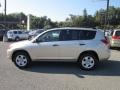 Savannah Metallic - RAV4 4WD Photo No. 4