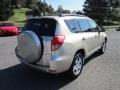 Savannah Metallic - RAV4 4WD Photo No. 7