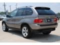2006 Sterling Grey Metallic BMW X5 4.4i  photo #7
