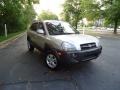 Sahara Silver - Tucson GLS V6 4x4 Photo No. 1