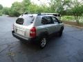 Sahara Silver - Tucson GLS V6 4x4 Photo No. 7