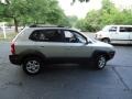 Sahara Silver - Tucson GLS V6 4x4 Photo No. 8