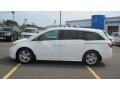 Taffeta White - Odyssey Touring Elite Photo No. 2
