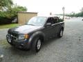 2009 Sterling Grey Metallic Ford Escape XLS 4WD  photo #3