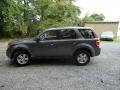 2009 Sterling Grey Metallic Ford Escape XLS 4WD  photo #4