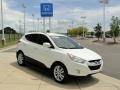 2010 Cotton White Hyundai Tucson Limited  photo #2