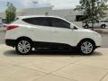 2010 Cotton White Hyundai Tucson Limited  photo #4