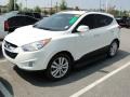 2010 Cotton White Hyundai Tucson Limited  photo #11