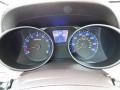 Taupe Gauges Photo for 2010 Hyundai Tucson #53756261