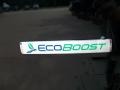  2012 Explorer Limited EcoBoost Logo