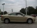 Shimmer Gold Metallic - S80 3.2 Photo No. 5