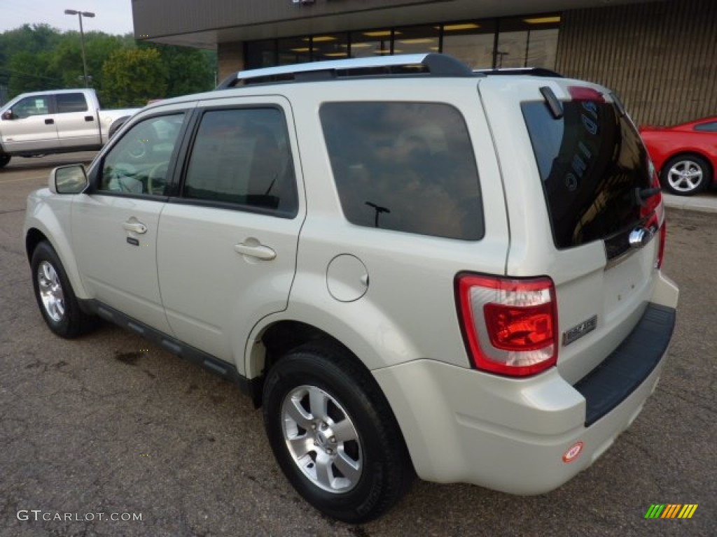 2009 Escape Limited V6 4WD - Light Sage Metallic / Camel photo #2