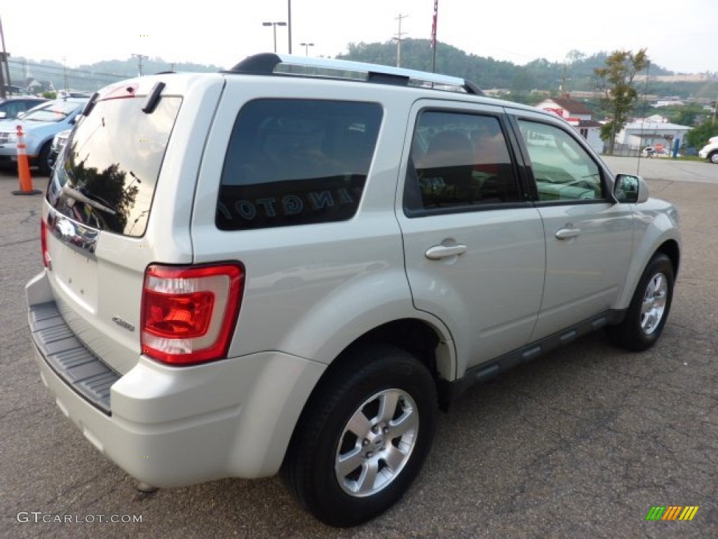 2009 Escape Limited V6 4WD - Light Sage Metallic / Camel photo #4