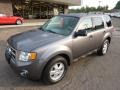 2009 Sterling Grey Metallic Ford Escape XLT V6 4WD  photo #8