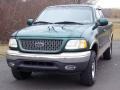 1999 Woodland Green Metallic Ford F150 XLT Extended Cab 4x4  photo #13