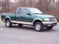 1999 Woodland Green Metallic Ford F150 XLT Extended Cab 4x4  photo #16