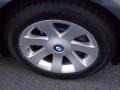 2008 Titanium Grey Metallic BMW 7 Series 750Li Sedan  photo #8