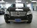 Black - ML 350 4Matic Photo No. 2