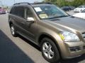 2008 Sand Beige Metallic Mercedes-Benz GL 450 4Matic  photo #6