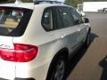 Alpine White - X5 3.0si Photo No. 5