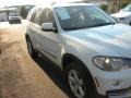Alpine White - X5 3.0si Photo No. 6