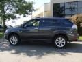 Smokey Granite - RX 350 AWD Photo No. 2