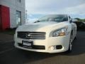 Winter Frost White - Maxima 3.5 SV Sport Photo No. 1