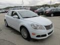 2010 White Water Pearl Suzuki Kizashi SLS  photo #10