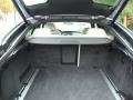 Ivory Trunk Photo for 2010 BMW X6 #53793886