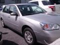 2006 Medium Gray Metallic Chevrolet Malibu LS Sedan  photo #4