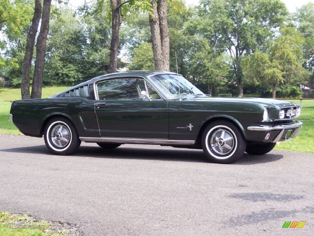 1965 Mustang Coupe - Ivy Green / Ivy Gold photo #3
