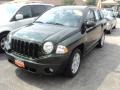 2010 Natural Green Pearl Jeep Compass Sport 4x4  photo #1