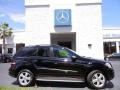 Black - ML 350 4Matic Photo No. 5