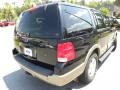 2003 Black Clearcoat Ford Expedition Eddie Bauer  photo #15