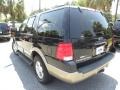 2003 Black Clearcoat Ford Expedition Eddie Bauer  photo #18