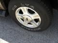 2003 Black Clearcoat Ford Expedition Eddie Bauer  photo #19