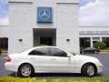 Arctic White - E 320 Bluetec Sedan Photo No. 5